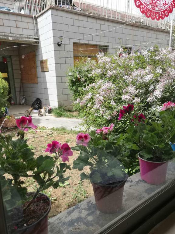 Yingxiang Guesthouse 라사 외부 사진